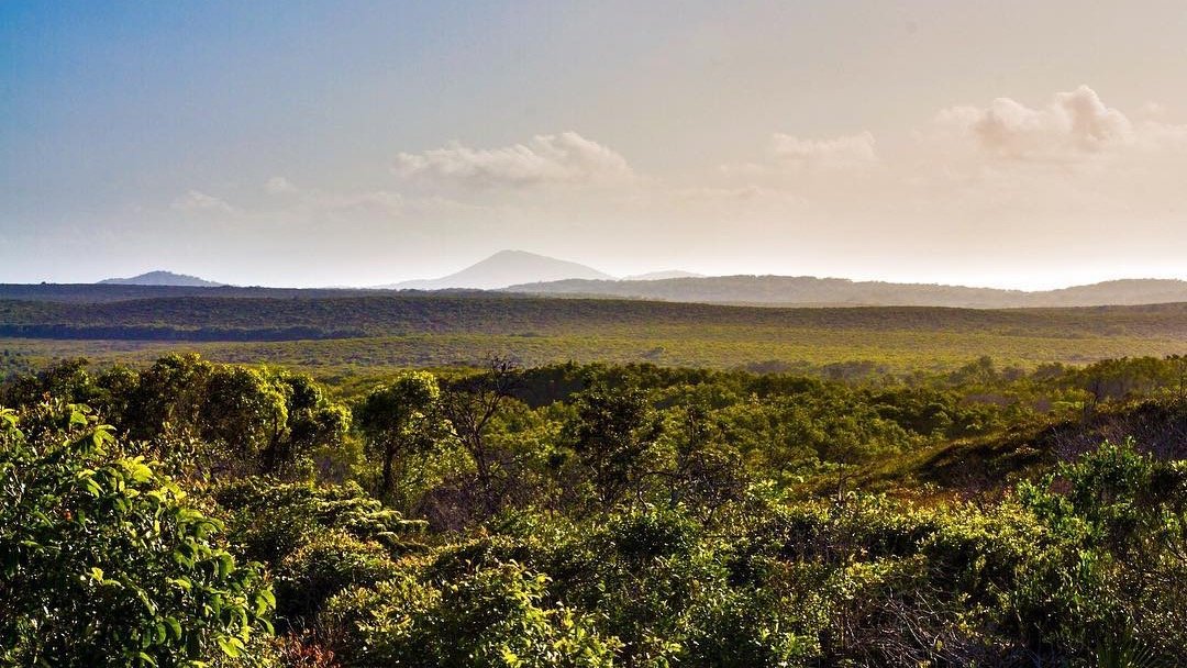 Wild green shrubland and distant hills near Yamba, New South Wales, Australia